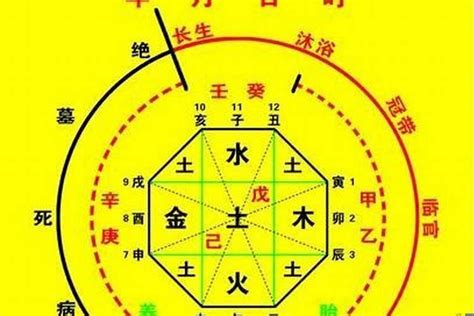 秋天出生五行|出生季节看四柱八字喜忌（初学者码住）